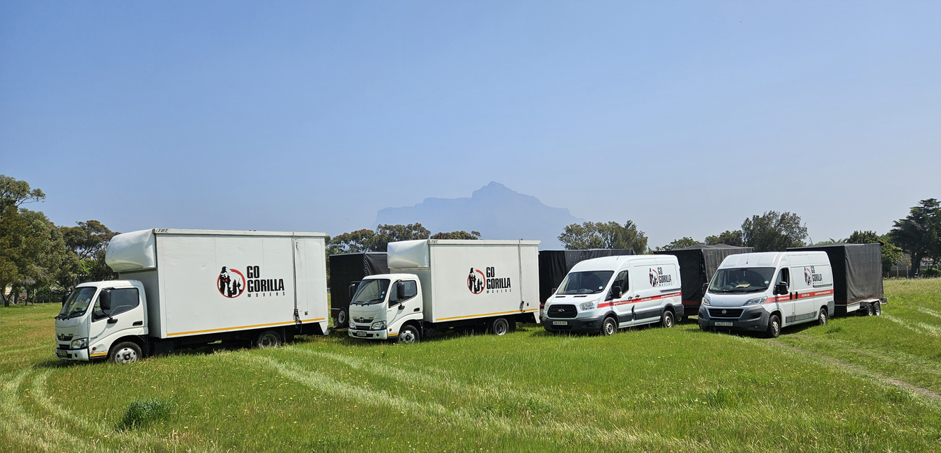 Moving-Removals-Company